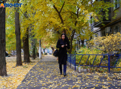 Небольшой дождь и сильный ветер: погода в Волгоградской области на 23 октября