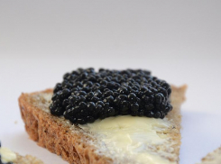 Сотни литров черной икры продали участники ОПГ из Волгограда