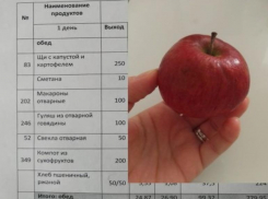 Требуют 1500 рублей предоплаты и скрывают стоимость обедов: родители школы в Волгоградской области 