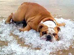 Грозы с градом обрушатся на Волгоградскую область в последний рабочий день недели