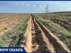 «Будет голод, вам будет нечего есть»: песчаная пустыня разрастается в Волгоградской области