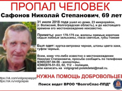 Волонтеры ищут уже три недели бесследно пропавшего 69-летнего волжанина