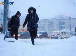 Жители Волгограда потеряли надежду, что им вернут маршрутку №46С