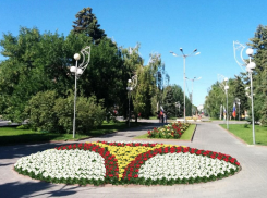  За три миллиона рублей к маю расцветет центр Волгограда