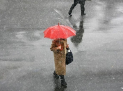 Первый день ноября встретил жителей Волгограда мокрым снегом и дождем