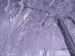 Мороз пообещали синоптики волгоградцам перед началом новой недели