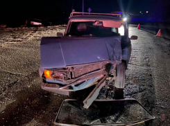 5-летняя девочка и 7-летний мальчик пострадали в ДТП в Волгоградской области