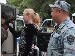 Найдена самая умилительная площадка на молодежном фесте в Волгограде 