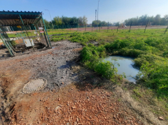 Прокуратура подтвердила сброс сточных вод в ЖК «Санаторный» в Волгограде 
