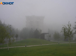 Три района Волгограда попадут под плановое отключение электричества 1 декабря