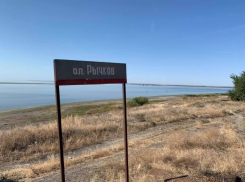 Депутат Волгоградской облдумы призвал отстреливать бакланов