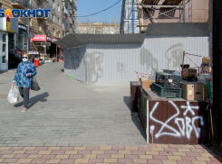 В Волгоградской области стихийную торговлю пытаются втиснуть в «цивилизованные рамки»