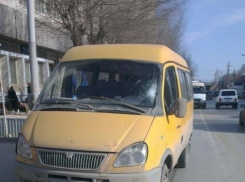 Водитель маршрутки в Волгограде сбил 43-летнего пешехода