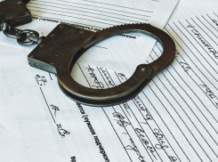 Волгоградца хотят посадить за неуплату алиментов на чужого ребёнка