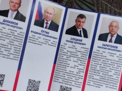 Про Путина почти ничего: брошюрки с кандидатами в президенты разносят по домам волгоградцев