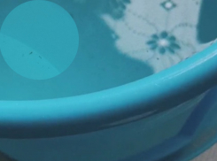 Червивую воду после фекального ЧП сняли на видео в Волгограде