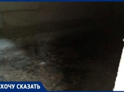 Волгоградцы в ужасе от вони: многоквартирный дом затоплен фекалиями