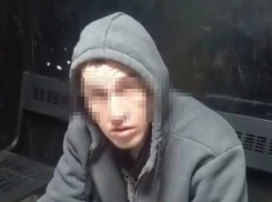 Волгоградца поймали с поличным на месте кражи из автомобиля: видео