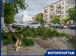 Ураганный ветер заставил горожан молиться и натворил бед в Волгограде: последствия на фото