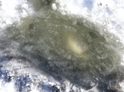 Мертвая рыба видна подо льдом: сбылись страшные прогнозы бывалого волгоградского рыбака