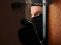 Под Волгоградом трое преступников в масках пытались ограбить семью фермера 