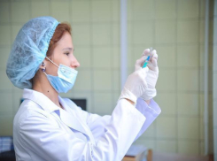 Почти 500 тысяч жителей Волгограда прошли вакцинацию от гриппа 