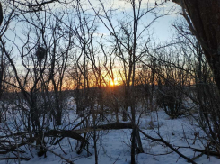 8 марта порадует волгоградцев теплом