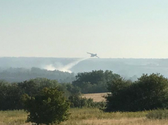 Под Волгоградом удалось локализовать крупный ландшафтный пожар