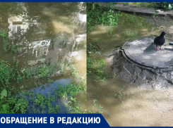 Фонтанирует канализация: во дворе многоэтажки в Волгограде образовался «пруд» 