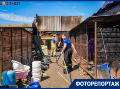 Собаки сгорели заживо: показываем пепелище на месте крупного приюта в Волгограде
