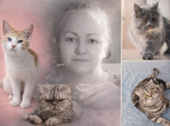 Умерла хозяйка приюта со 170 кошками в Волгограде