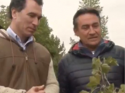 Камиль Ларин показал свою фазенду бывшему танцору из «Hi-Fi»