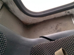 Волгоградцы не верят в ежедневную уборку автобусов из-за грязи и неприличных рисунков