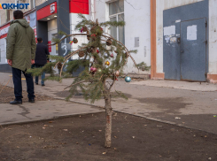 Волгоградцев лишили долгих выходных в феврале и в марте 