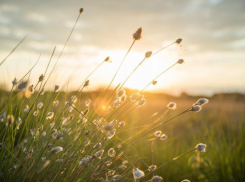 С прохлады начнется понедельник 1 июля в Волгограде