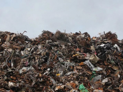 В Волгоградской области тарифы за ТКО выше, чем в Астраханской и Республике Крым