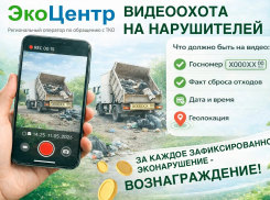 Свалки под прицелом: в регионе объявили «видеоохоту» на эко нарушителей