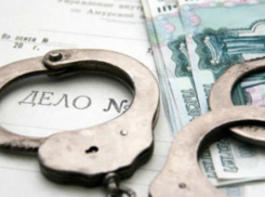 В Волгограде мошенники использовали 13 женщин для аферы с маткапиталом