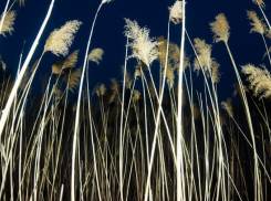 Стали известны подробности о мужчине, который исчез в нижнем белье на острове Сарпинском 