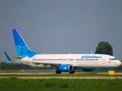 Самолет из Волгограда авиакомпании «Победа» попал в стаю птиц при посадке в Москве