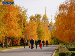Волгоградкам рассказали, какая осенняя ягода помогает во время беременности