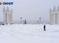 Разногласия с любимыми у Овнов, новые поклонники у Дев: гороскоп на неделю