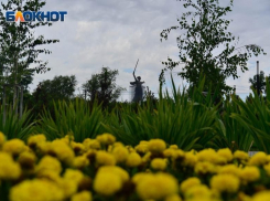 Из-за сильного ветра остановлены реставрационные работы на скульптуре «Родина –мать» в Волгограде