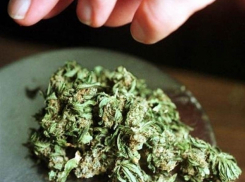 28-летнему волжанину грозит 15 лет тюрьмы за 100 граммов марихуаны