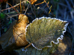 Заморозки до -4º: погода в Волгоградской области на 8 октября 