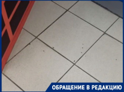 Полчище тараканов в «Магните» сняли на видео в Волгограде