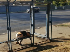 Спящая на остановке девушка со спущенными штанами возмутила жителей на севере Волгограда