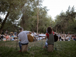 Волгоградцев бесплатно приглашают посмотреть фильм «Хатико» в Комсомольском саду