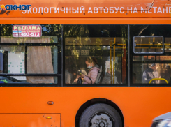 Большинство опрошенных жителей Волгограда не устраивает работа общественного транспорта