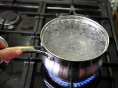 Крашенные креветки привели в ужас жителя Волгограда